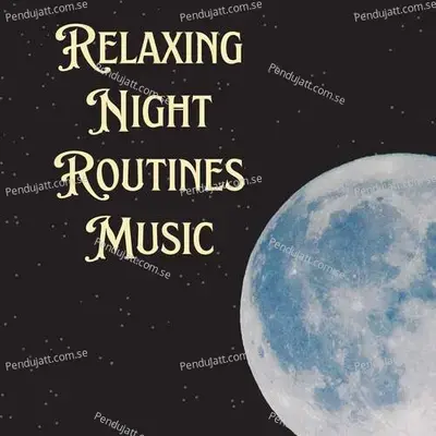 Relaxing Night Routines Music - Lakhan Hire album cover 