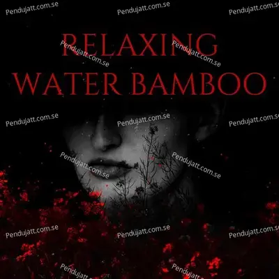 Relaxing Water Bamboo - Lakhan Hire album cover 