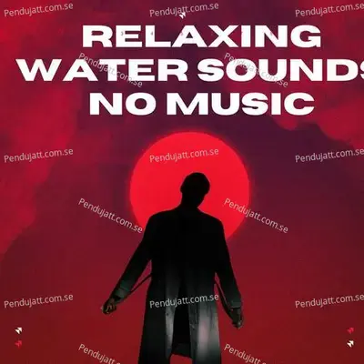 Relaxing Water Sounds No Music - Lakhan Hire album cover 