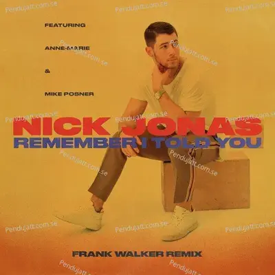 Remember I Told You  Frank Walker Remix  - Nick Jonas