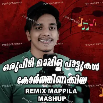 Remix Mappila Mashup - Saam Shameer album cover 