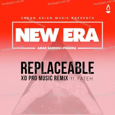 Replaceable - Amar Sandhu album cover 