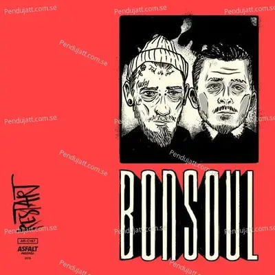 Krwawy Sport - BonSoul album cover 