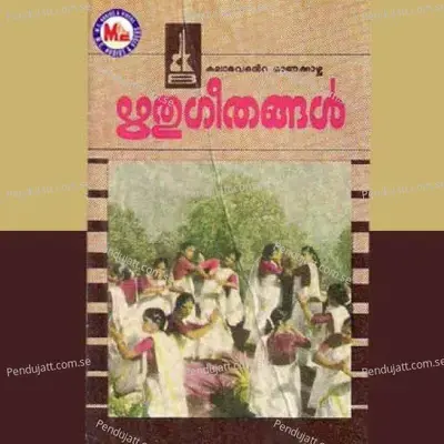 Anupamasundara - Ibrahim album cover 