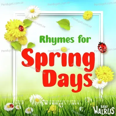 Rhymes For Spring Days - Baby Walrus