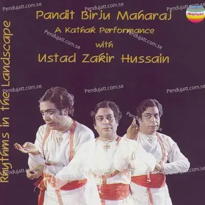 Tabla Solo - Pandit Birju Maharaj album cover 