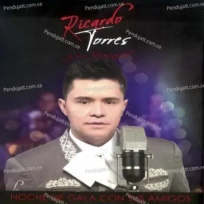 Solo Falta - Ricardo Torres album cover 