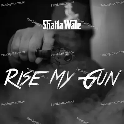 Rise My Gun - Shatta Wale album cover 