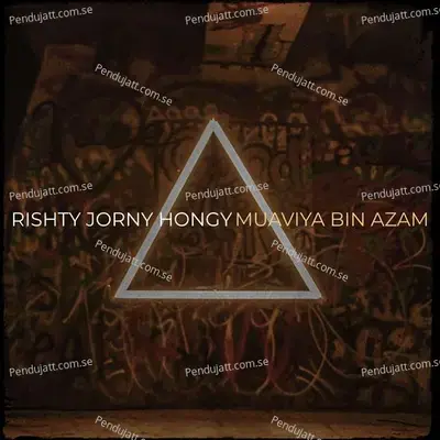 Rishty Jorny Hongy - Muaviya Bin Azam album cover 