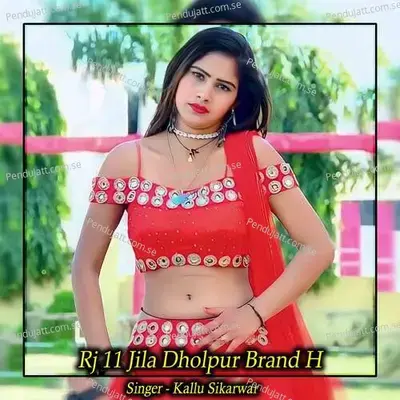 Rj 11 Jila Dholpur Brand H - Kallu Sikarwar album cover 