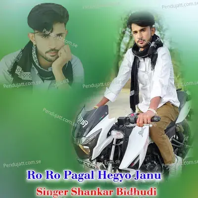Ro Ro Pagal Hegyo Janu - Shankar Bidhudi