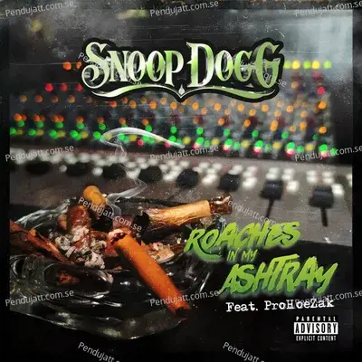 Roaches In My Ashtray - Snoop Dogg album cover 
