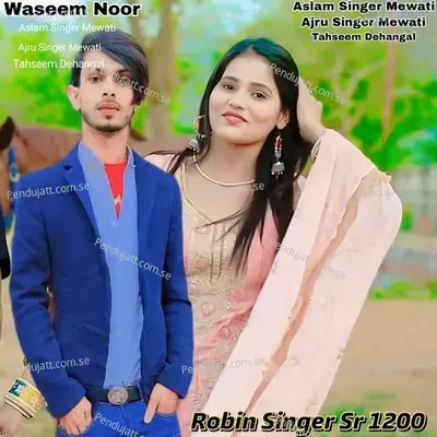 Robin Singer Sr 1200 - Waseem Noor album cover 