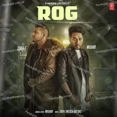 Rog - Musahib album cover 