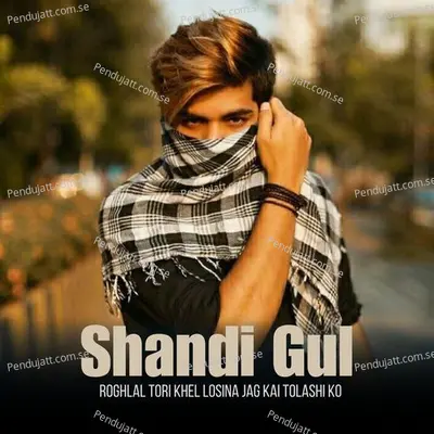 Roghlal Tori Khel Losina Jag Kai Tolashi Ko - Shandi Gul album cover 