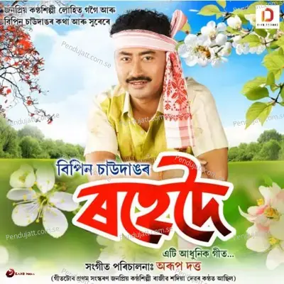 Rohedoi - Bipin Chawdang album cover 