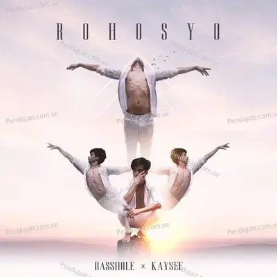 Rohosyo - Basshole album cover 