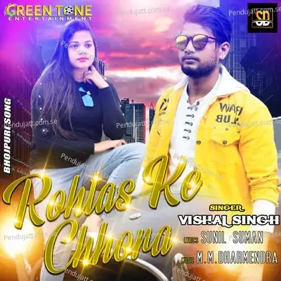Rohtash Ke Chhora - Vishal Singh album cover 