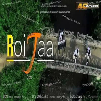 Roi Jaa - D.btz album cover 