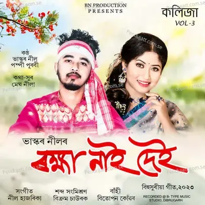 Roikhya Nai Dei - Bhaskar Neel album cover 