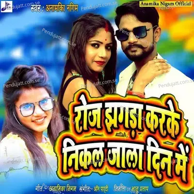 Roj Jhagada Karke Nikal Jala Din Me - Anamika Nigam album cover 