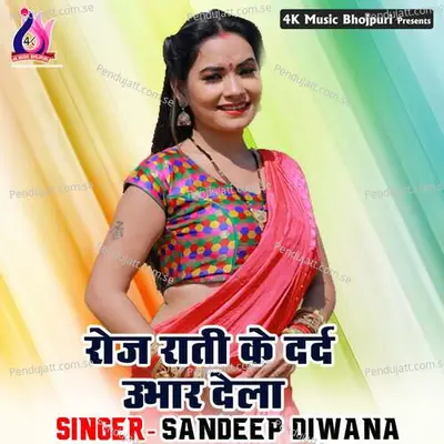 Roj Raati Ke Dard Ubhar Dela - Anil Kumar cover album