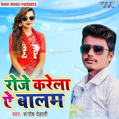 Roje Karela Ae Balam - Santosh Dehati album cover 