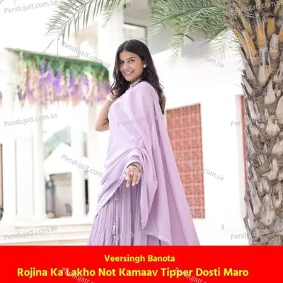 Rojina Ka Lakho Not Kamaav Tipper Dosti Maro - Veersingh Banota album cover 