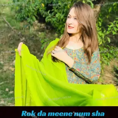 Rok Da Meene Num Sha - Fayaz Khan album cover 