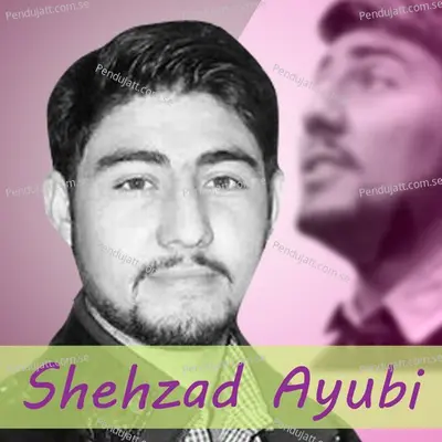 Rokhchi Tu Kardo Wadan Bewafa Ko How - Shehzad Ayubi album cover 