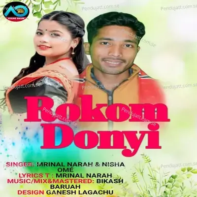 Rokom Donyi - Mrinal Narah album cover 