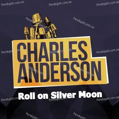 Sleep  Baby  Sleep - Charles Anderson album cover 