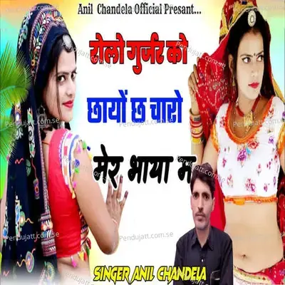 Rolo Gurjar Ko Chayo Ch Charo Mer Bhaya Me - Anil Chandela album cover 