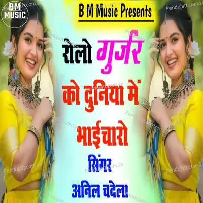 Rolo Gurjar Ko Duniya Me Bhaicharo - Anil Chandela album cover 