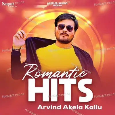 Bada Niklagela - Arvind Akela Kallu Ji album cover 