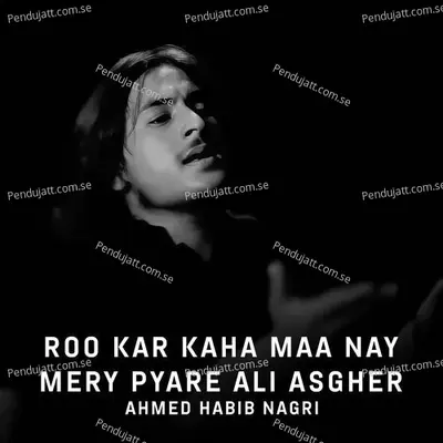 Roo Kar Kaha Maa Nay Mery Pyare Ali Asgher - Ahmed Habib Nagri album cover 