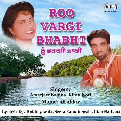 Githu De Ghar Wali - Amarjeet Nagina album cover 