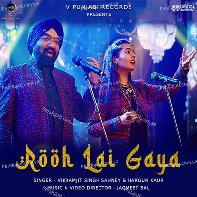 Rooh Lai Gaya - Vikramjit Singh Sahney album cover 