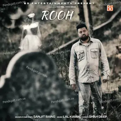Rooh - Sanjit Bains album cover 