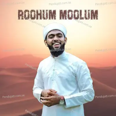 Roohum Moolum - SUHAIL BAQAVI VAZHAKKAD album cover 