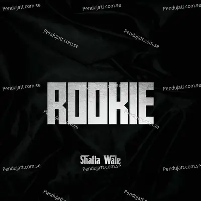 Rookie - Shatta Wale album cover 