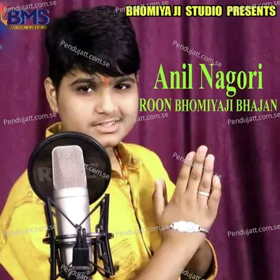 Roon Bhomiya Ji Bhajan - Anil Nagori album cover 