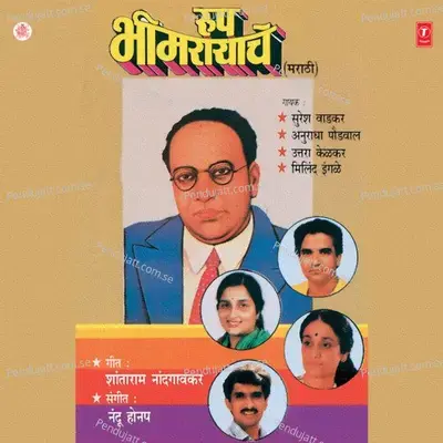Bheemraya Jaanile - Milind Ingle album cover 