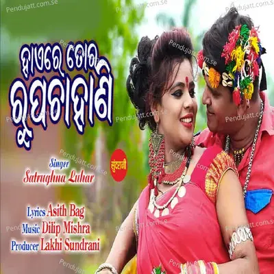 Roop Chahani - Satrughna Luhar album cover 