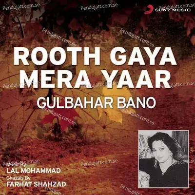 Beqarari Ki Tarha - Gulbahar Bano album cover 