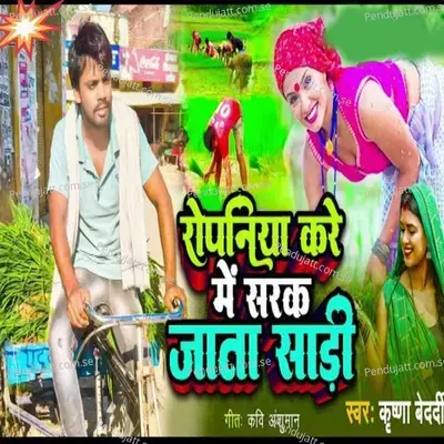 Ropaniya Kare Mein Sarak Jaata Sari  Lokgeet  - Krishna Bedardi