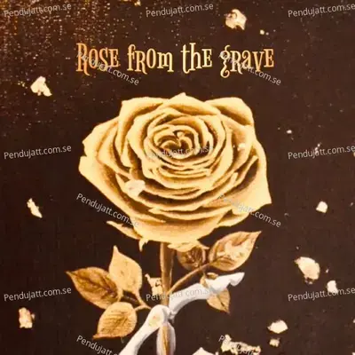 Rose  039 - Rose album cover 