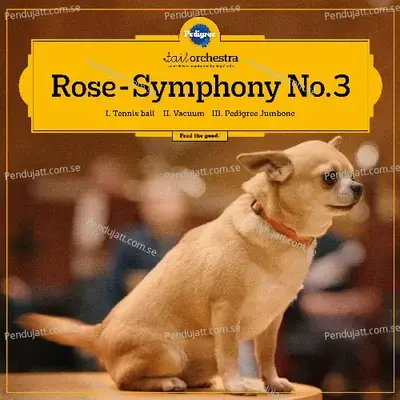 Rose - Symphony No  3 - Pedigree® Tail Orchestra cover album