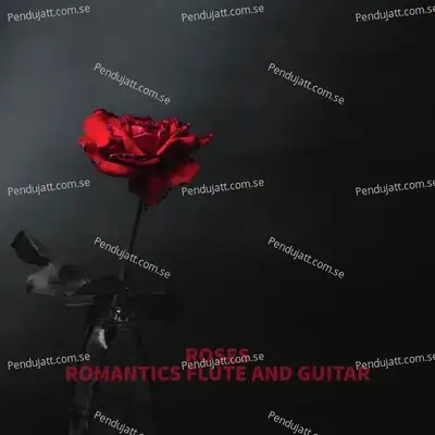 Roses Romantic Flute And Guitar - Ace Assam Beats album cover 