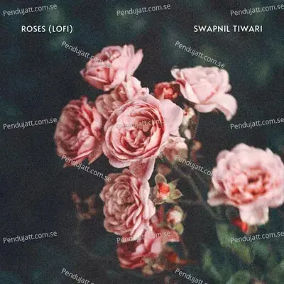 Roses - Swapnil Tiwari album cover 